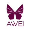 undefined AWEI