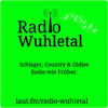undefined radio-wuhletal