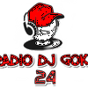 undefined radiodjgoku24
