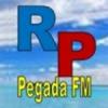 undefined Radiopegadasertaneja
