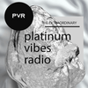 undefined Platinum Vibes Radio
