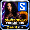 undefined Sunflower Promotion - Main