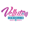 undefined Radio Velluto