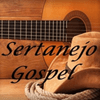 undefined Viola Sertaneja Gospel viola