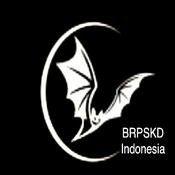 Radio Bat Radio PSKD Indonesia