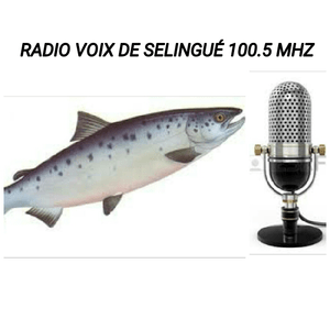 RADIO VOIX SELINGUÉ FM