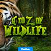 undefined A to Z of Wildlife for Kids