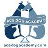 undefined Ace Dog Academy Answers