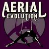 undefined Aerial Evolution