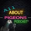 undefined All About Pigeons