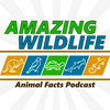undefined Amazing Wildlife