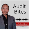 undefined Audit Bites