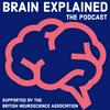 undefined Brain Explained