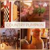 undefined Country Pumpkin - Prim, Cottage Core Décor, The Odd and Unusual