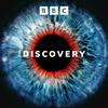 undefined Discovery