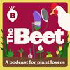 undefined The Beet: A Podcast For Plant Lovers