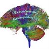 undefined Execu-Sensory & Neuropedagogy Educational Consulting Services