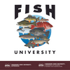 undefined Fish University