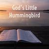 undefined God’s Little Hummingbird: Bible Time (Messianic )