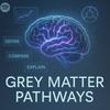 undefined Grey Matter Pathways