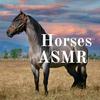 undefined Horses ASMR