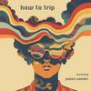 undefined How to Trip | The Psychedelics Podcast