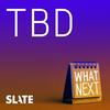 undefined What Next: TBD | Tech, power, and the future