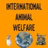 undefined International Animal Welfare