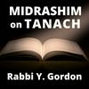 undefined Midrashim on Tanach