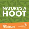 undefined Nature's a Hoot