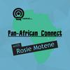 undefined Pan-African Connect