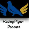 undefined Racing Pigeon Podcast