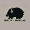 undefined Radio Amelia
