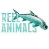 undefined Reel Animals Fishing Show