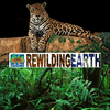 undefined Rewilding Earth Podcast