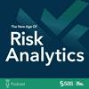 undefined Risk Analytics