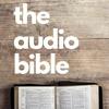 undefined The Audio Bible