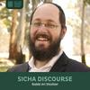 undefined Sicha Discourse, Rabbi Ari Shishler