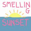 undefined Smelling Sunset: A Selling Sunset Podcast
