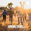 undefined Springtribe - Motivation, Comedy, Marketing