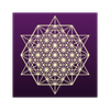 undefined The Soul Matrix