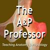 undefined The A&P Professor
