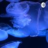 undefined The Abyss Speaker