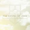 undefined The Gospel of John: A Study in the Truth (Chapters 1–10)