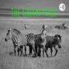 undefined The Green Piece Podcast
By Warren Green