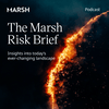 undefined The Marsh Risk Brief