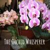 undefined The Orchid Whisperer