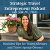undefined Strategic Travel Entrepreneur: Business Tips for Travel Agents/Advisors, Travel Agency Owners, and Travel Business Owners