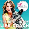 undefined The Veterinary Life Coach® Podcast with Dr. Julie Cappel