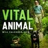 undefined Vital Animal Podcast